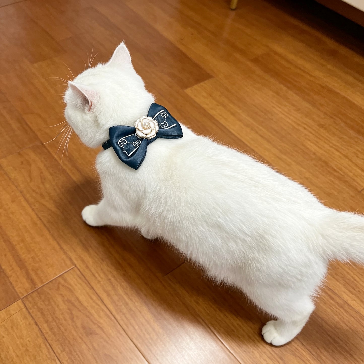 Black Bow Pet Hair Clip