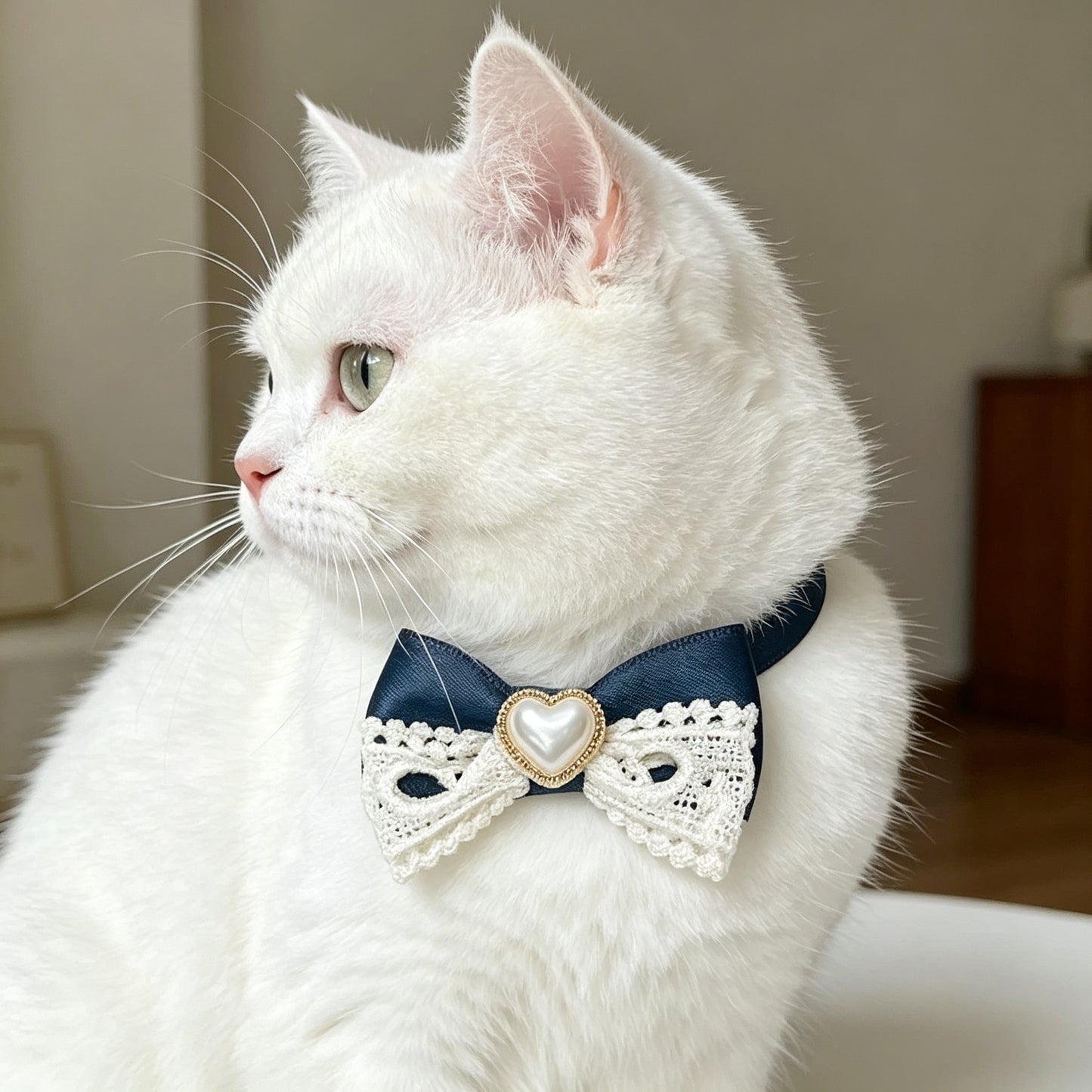 Black Bow Pet Hair Clip